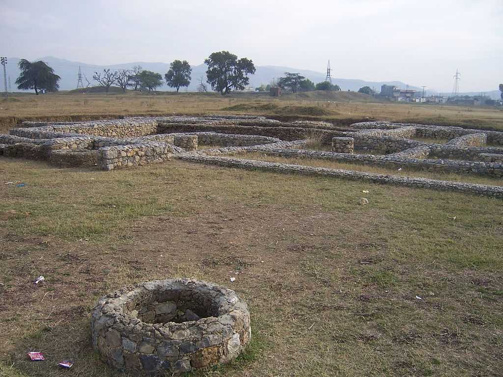 jivakas-mango-garden-img